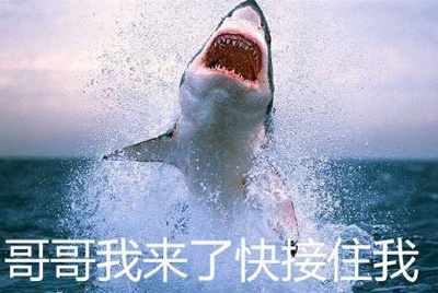 哥哥我来了，快接住啊
