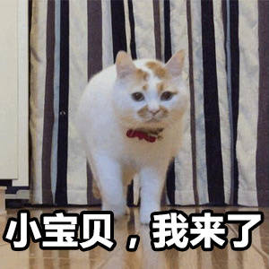 我的小宝贝，我来了