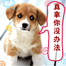 我真是拿你没办法