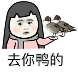 去你鸭的