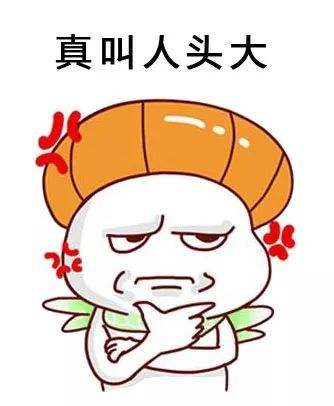 好气啊，真叫人头大