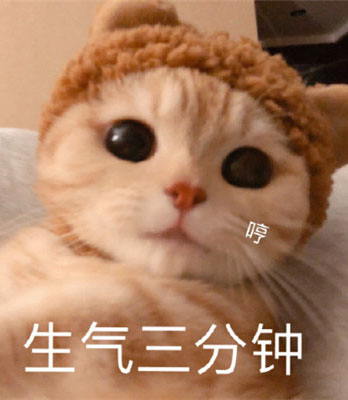 哼，现在生气三分钟