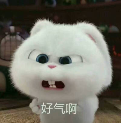 真是的，好气哦