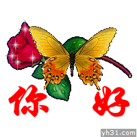 漂亮的动态蝴蝶问候“你好”