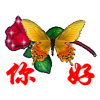美丽的蝴蝶问好