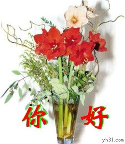 鲜花问候你一下