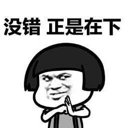 没错，正是在下