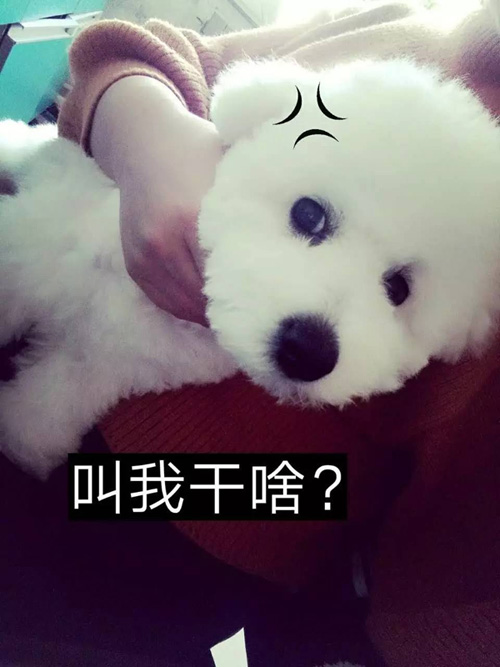 我这么好看，你叫我干啥呀？