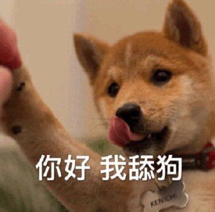 你好，我是舔狗