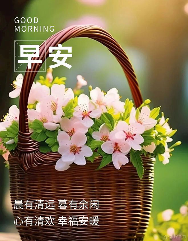 晨光漫过花影，愿你日日舒心，早安