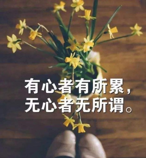 有心者有所累，无心者无所谓