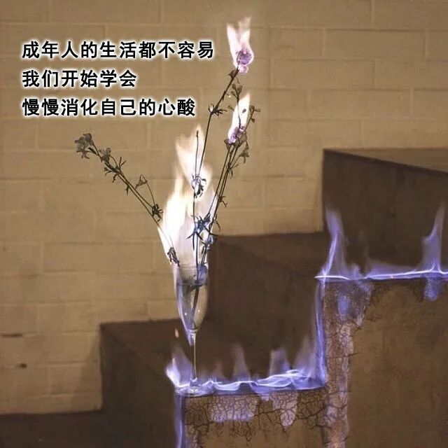 成年人的生活都不容易，我们要学会消化自己的心酸