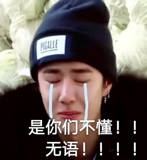 是你们不懂我，我真的很无语