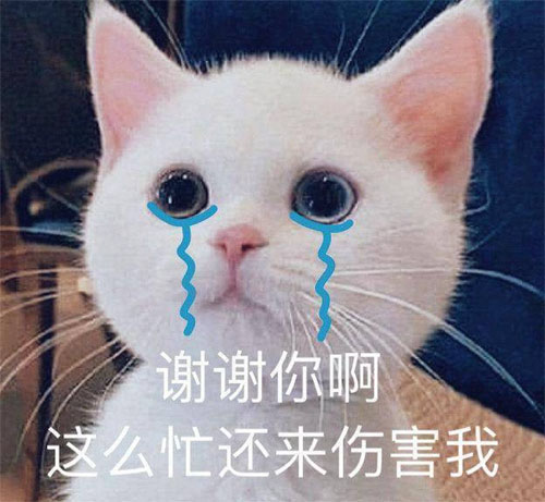 谢谢你这么忙还来伤害我