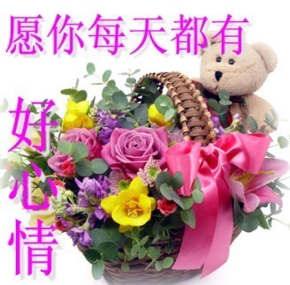 送个花篮，愿你每天都有好心情