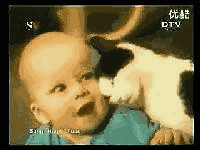 猫猫与小孩玩亲热