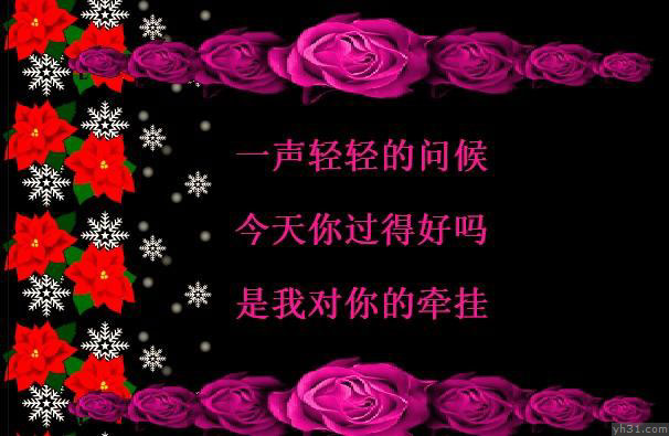 一声轻轻的问候，是我对你的牵挂