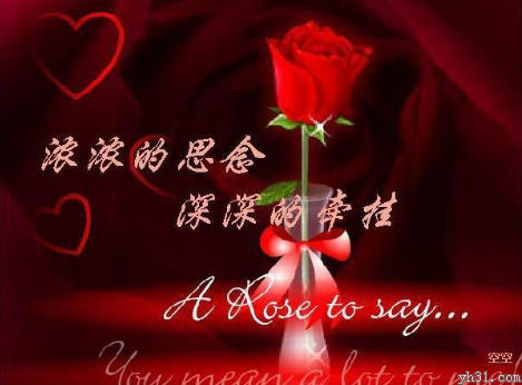 对你深深的思念和牵挂