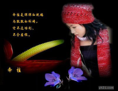 牵挂是深深的祝福