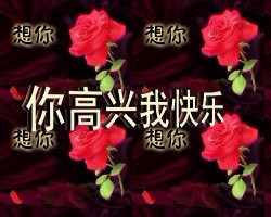想你想你，你高兴我快乐