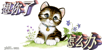 我想你了，该怎么办呢