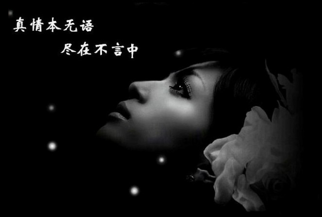 真情本无语，一切尽在不言中