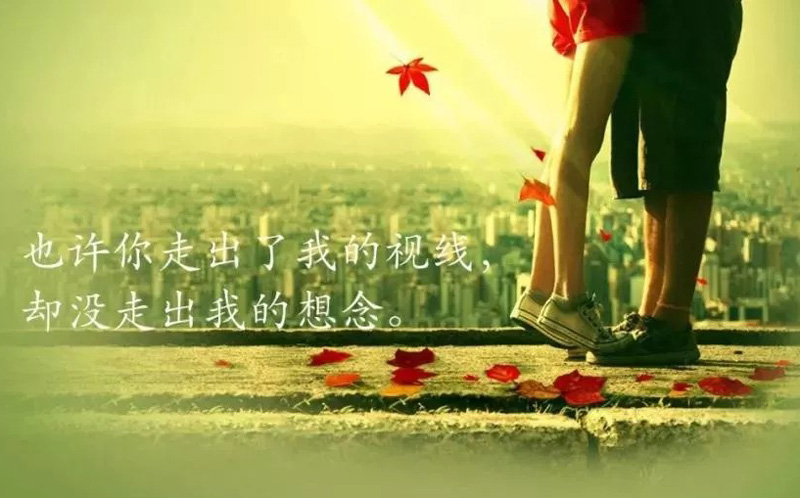 也许你走出了我的视线，却没能走出我的想念