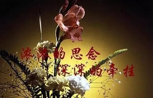 把浓浓的思念和深深的牵挂都藏在心里