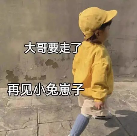 大哥要走了，再见吧，小兔崽子