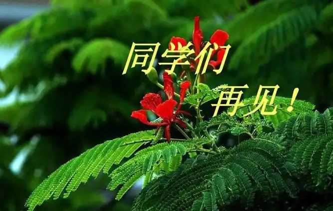 同学们，是时候该说再见了