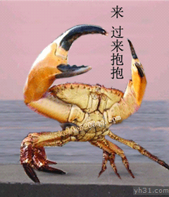 来来来，过来抱抱吧