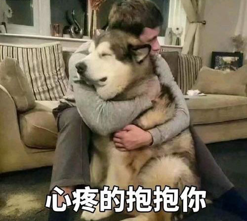 心疼的抱抱你