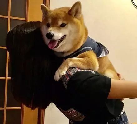 抱起狗狗来个合照吧