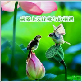 感激上天让我与你相遇