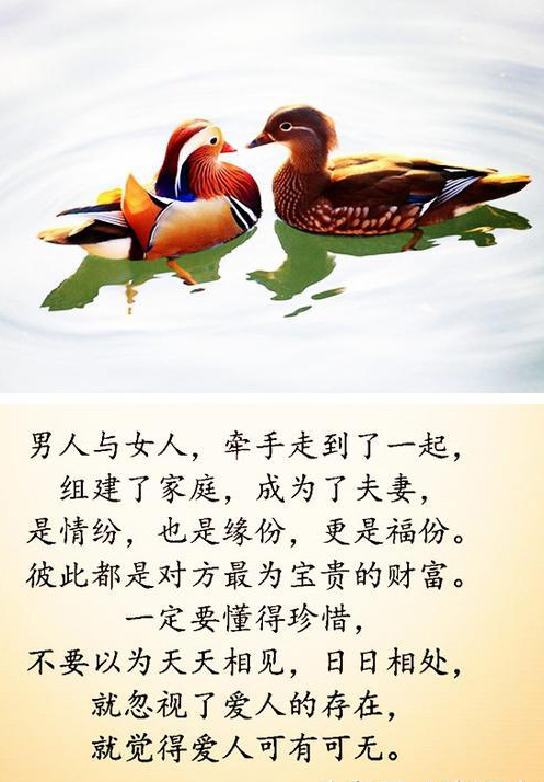 男女成为夫妻，是缘份更是福份