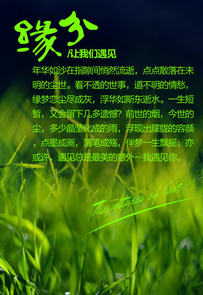 缘份让我们遇见，遇见总是最美的意外