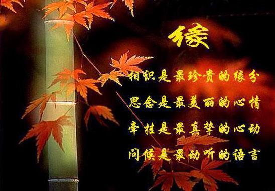 相识是最珍贵的缘份，思念是最美丽的心情