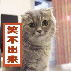 我真的笑不出来