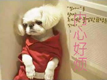 内心好烦，没人能理解