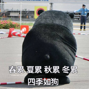 春累夏累秋累冬累，四季如狗