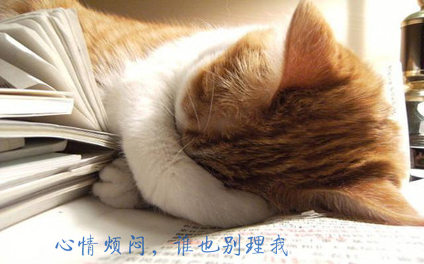 心情烦闷，谁也别来理我