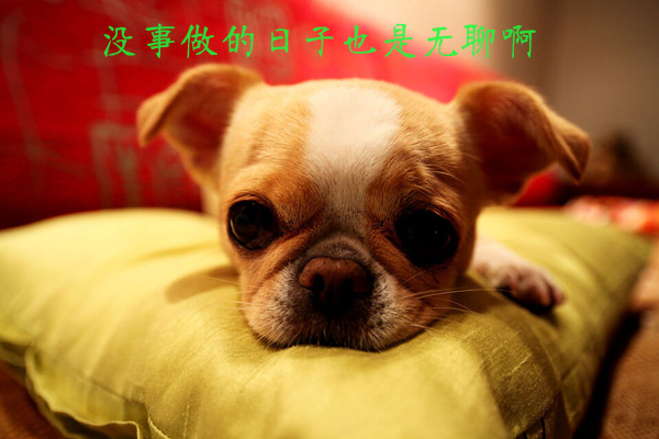 没事做的日子也是无聊啊