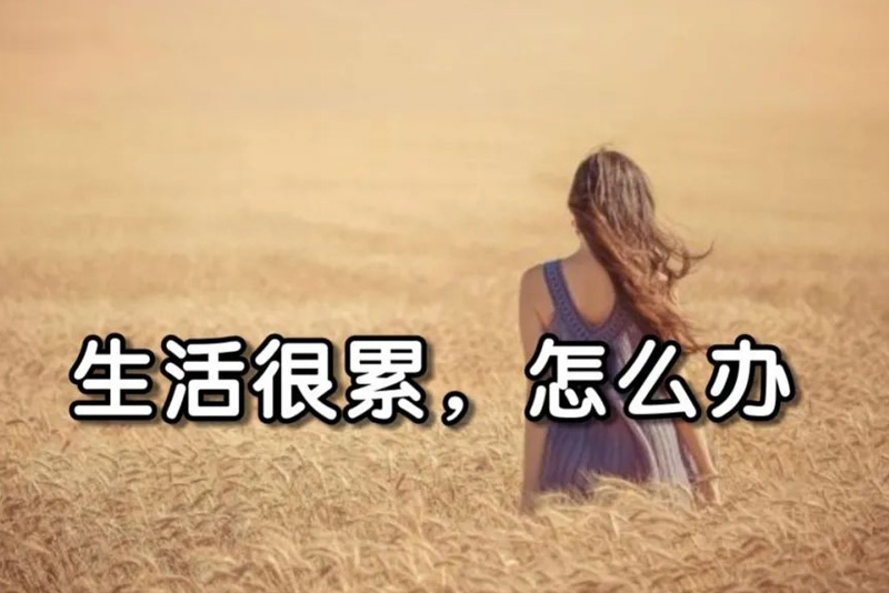 生活很累，该怎么办？