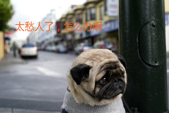 太愁人了，我该怎么办啊