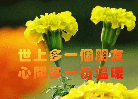 世上多一个朋友，心里就多一份温暖