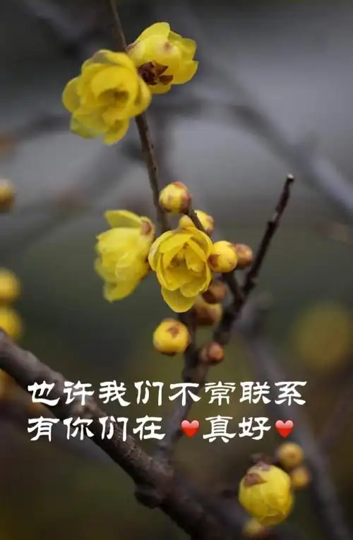也许我们不常联系，但是有你们在，真好