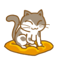 蹲着挖坑的猫咪