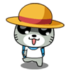 喵喵猫走来了