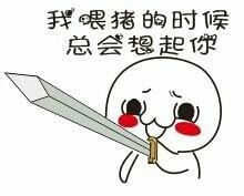 当我喂猪的时候，总会想起你