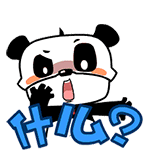 什么，你在讲什么